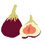 いちじく