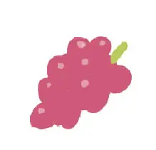 ぶどう（晩生）