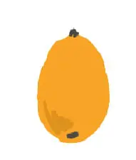 びわ