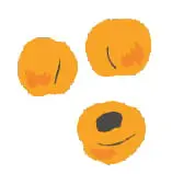あんず