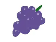 ぶどう