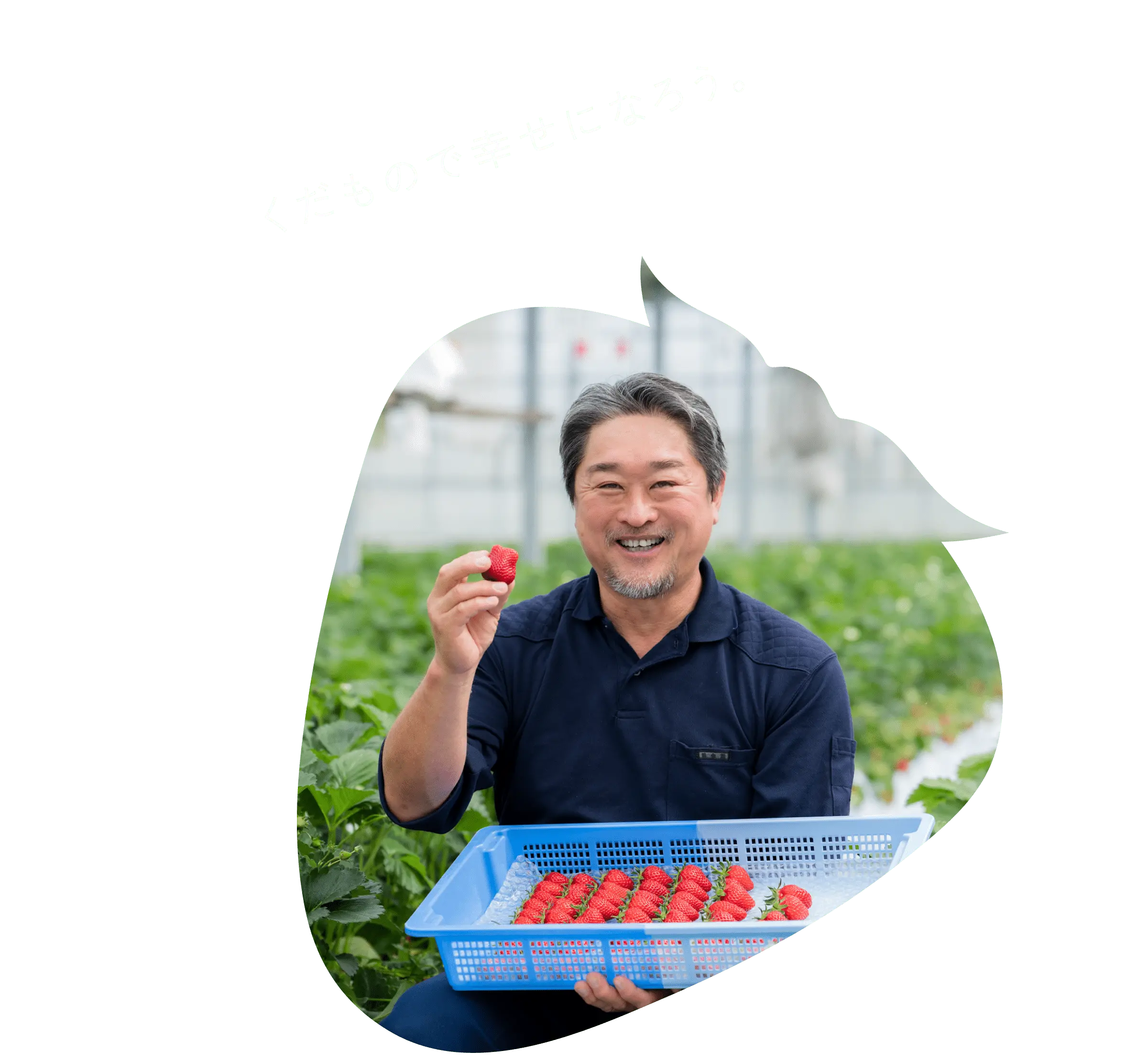 くだもので幸せになろう。